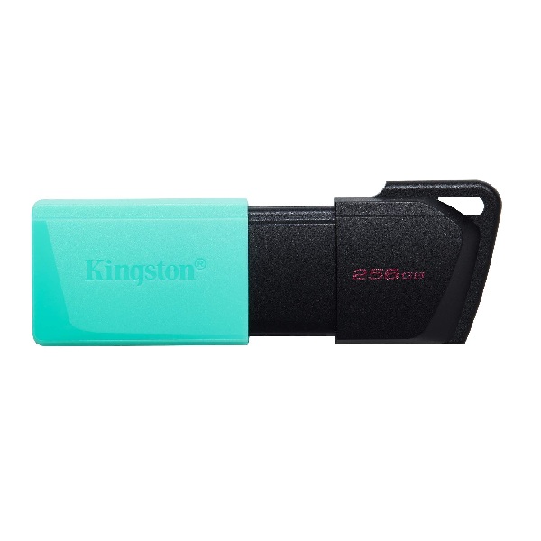 USB 256GB Kingston DTXM