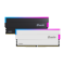 Ram Desktop Biwin DW100 RGB Black 16GB DDR5 Bus 6000 MT/s BWBN62682060236