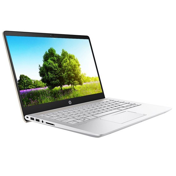 Máy tính xách tay Laptop HP Pavilion 14 bf116TU i5-8250U (3MS12PA) (Vàng)