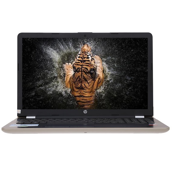 Máy tính xách tay Laptop HP 15-bs161TU i5-8250U (3VM52PA) (Gold)