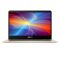 Máy tính xách tay Laptop Asus (UX461UA-E1117T) i5-8250U (Vàng)