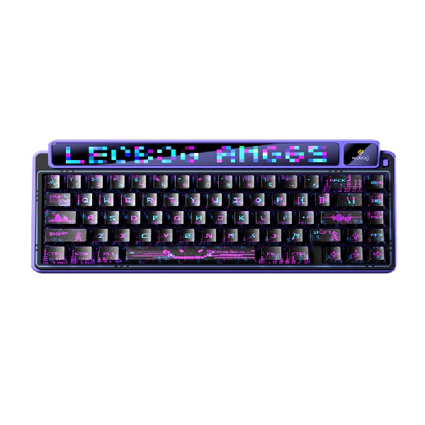 Bàn phím cơ LEOBOG AMG65 (Màu Đen tím/ Jadeite switch)