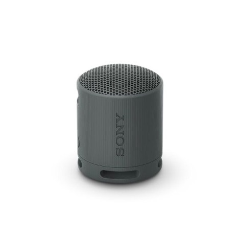 Loa Bluetooth Sony SRS-XB100 Black