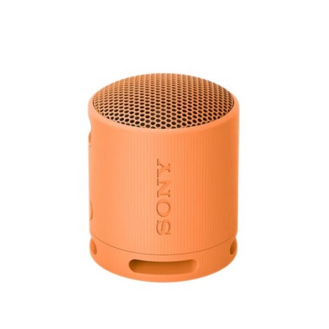 Loa Bluetooth Sony SRS-XB100 Orange