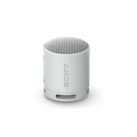 Loa Bluetooth Sony SRS-XB100 Silver