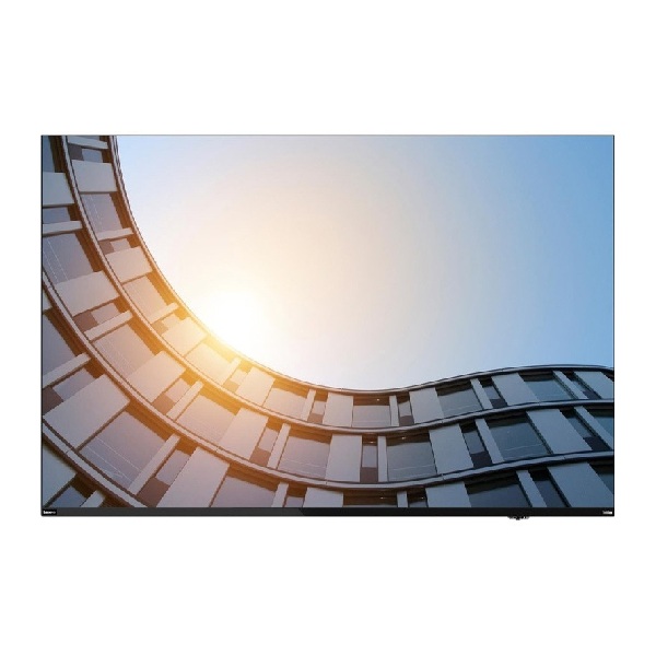 Màn hình LCD Lenovo ThinkVision E55 LFD 64A9GAT1VN (54.6 inch/ 3840 x 2160/ 400 cd/m2/ 8ms/ 60Hz/ 2 x 10W Speakers)